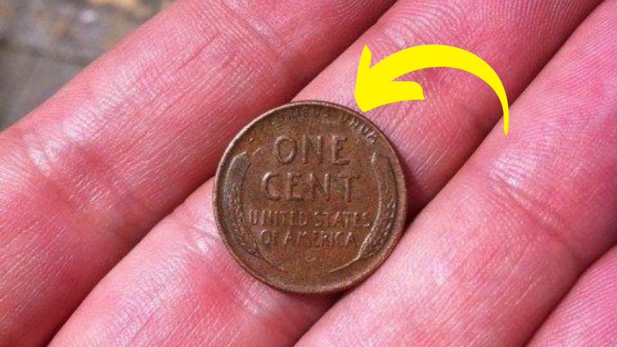 Lincoln Wheat Penny Valued at $10 Million